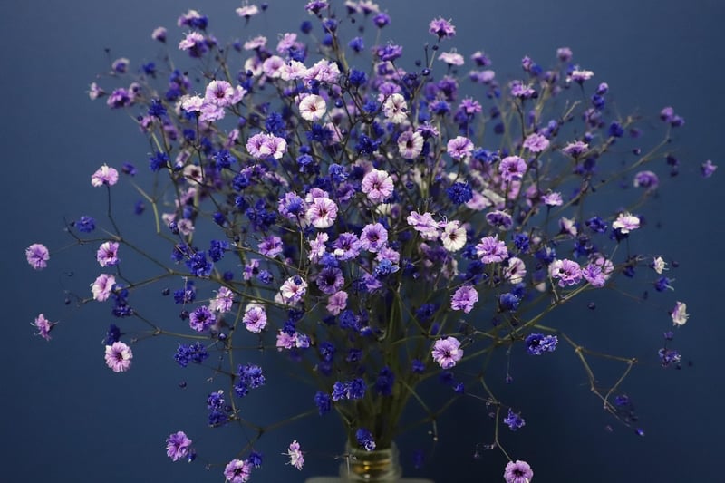 Flower Crown
